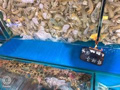 -喜悦小串海鲜烧烤大排档(高新万达店)