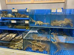 水产区-本家食堂(华南店)