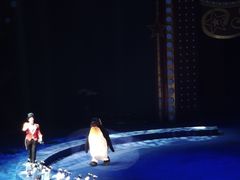 -珠海横琴长隆《卡卡虎奇遇记》