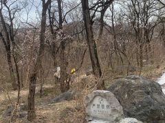 -阳台山自然风景区