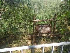 -峡谷浮石林景区