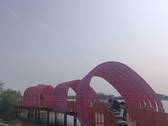 -芒洲湿地公园