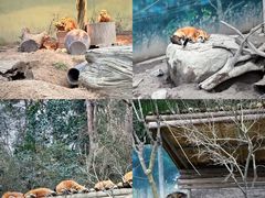 -宁波野生动物园
