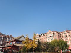 -龍歌自助小火锅(市北台东利群店)