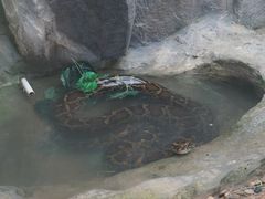 火鸟山谷-东部华侨城