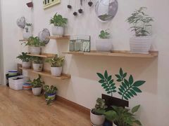 -自然树儿童之家(海珠翠城花园托育.早教校区)