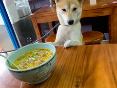 -好吃黄鱼面馆(浦发广场店)