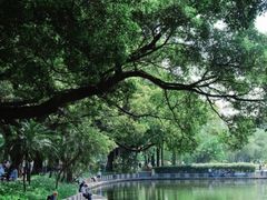 -晓港公园
