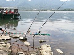 -东梓关景区村庄