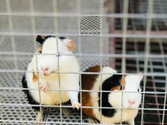 -梦幻奥陶纪景区