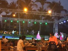 -渔家火锅·海鲜自助餐·演艺(亚龙湾天域酒店)