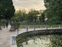 -花溪公园