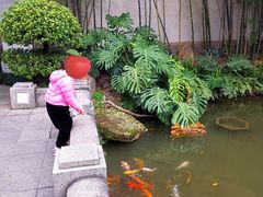 -小桃红·东北菜·春饼烤鸭(南阳湖街店)