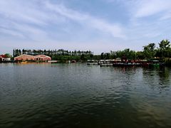 -上海长兴岛郊野公园