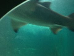 -常州海昌海洋探索馆