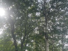 -元大都城垣遗址公园