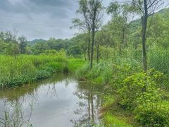 -西湖风景区-江洋畈生态公园