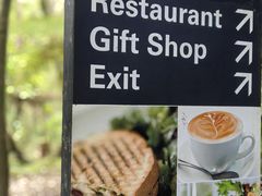 -怀托摩萤火虫洞