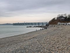 -星海湾跨海大桥