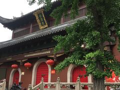 -上海白云观