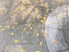 -上海不夜城广场(上海不夜城金融大厦店)