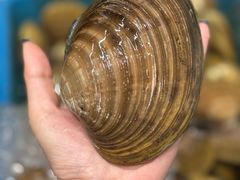 -震海贝烤贝·民俗特色店(延吉总店)