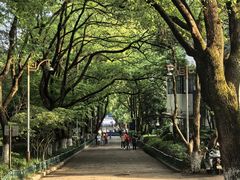 -杭州半山国家森林公园