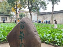 -绍兴鲁迅故里·沈园景区