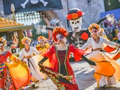 -大连海昌发现王国主题公园