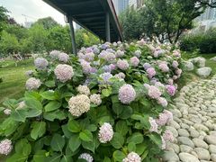 -西安创业咖啡街区