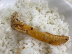 -天一沾水肥肠(科园一街店)