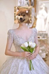 -派丽莫Pellimo原创设计婚纱品牌