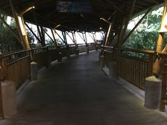 -海口观澜湖火山温泉谷