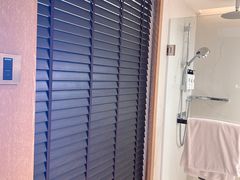 -新加坡文华东方酒店