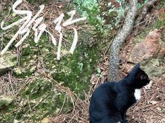 -敬亭山风景名胜区