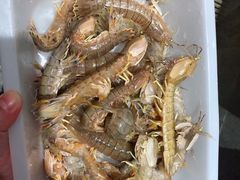 好大皮皮虾-蓝珊甄选海鲜自助·火锅大排档(近阿那亚店)
