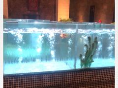 水产区-观澜湖酒店·邀月庭中餐厅
