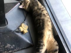 -牛一煲美食(江高店)