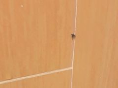 -全季酒店（上海南站徐汇万科中心店）(原冠生园路店)