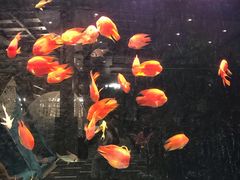 -弘安丽水温泉酒店
