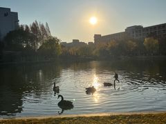 -杭州师范大学(下沙校区)