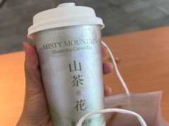 -雾与山茶(大禹城店)