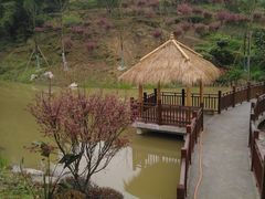 -缙云山景区