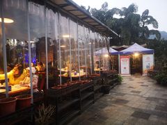 -先机泉水鸡汤(南山老君洞店)