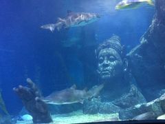 -暹罗海洋世界