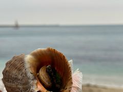 -日落吧·海景咖啡厅·餐酒吧·鸡尾酒·下午茶·乐队表演·浪漫夕阳·三亚文华东方酒店