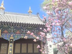 -护国法轮寺