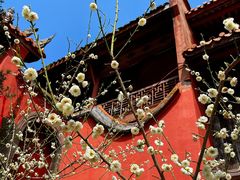 -金堂县云顶石城风景区