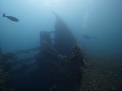 明太全鱼-故乡明太鱼屋(航北路店)