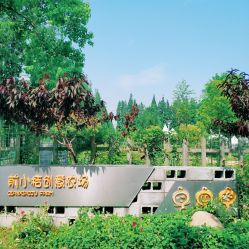 -前小桔亲子创意农场·草莓采摘·露营烧烤